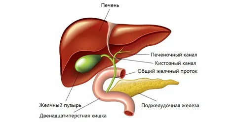 застой желчи